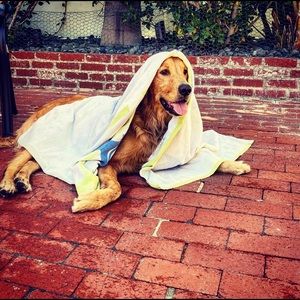 Meet your Posher, Kevin